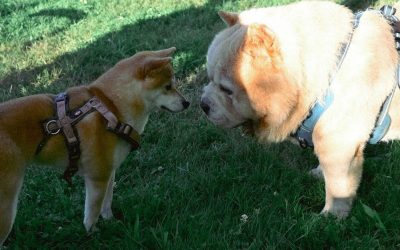 35 Grad, purer Sonnenschein, Pools und der Duft von Grillgut in der Luft – klingt nach Urlaub? Das war unser Sommerfest 2025! ☀️